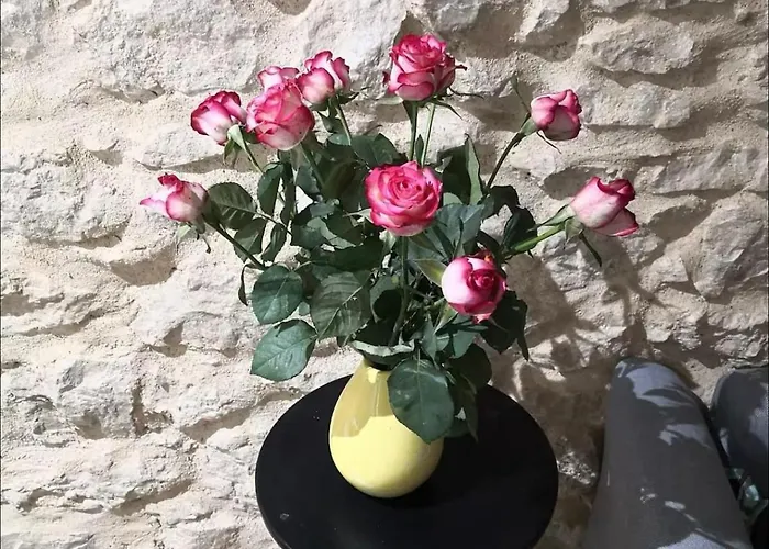 Duplex Center Of With Ac ניס